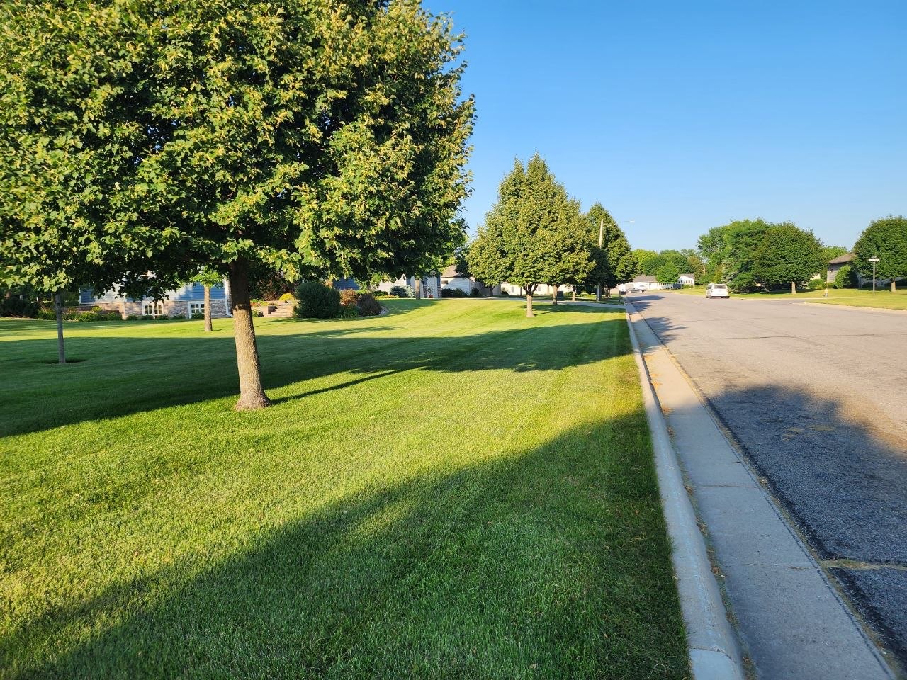 A residential street in Bird Island lined with neatly mowed boulevard lawns and shade trees.